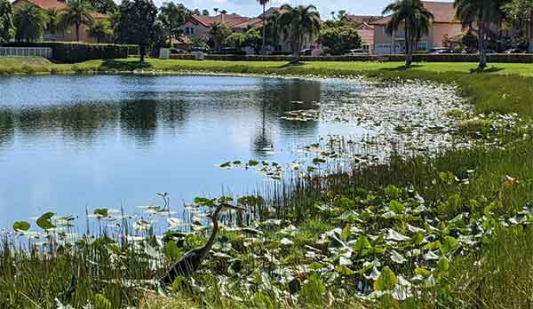 Village of Doral Dunes photo 4